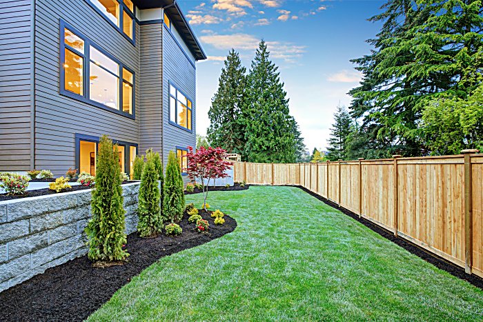 backyard fence  Cheap garden fencing, Backyard fences, Fence design