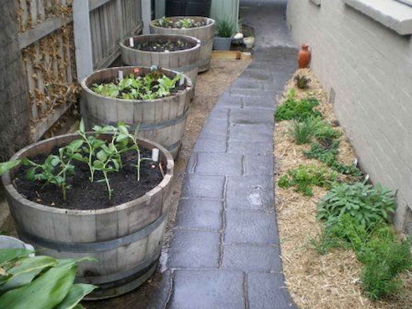 barrels of vegies