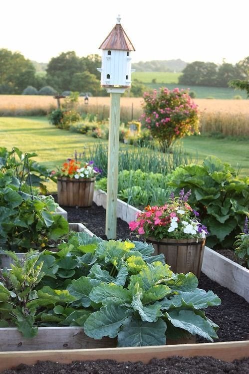 raised beds with birdfeeder