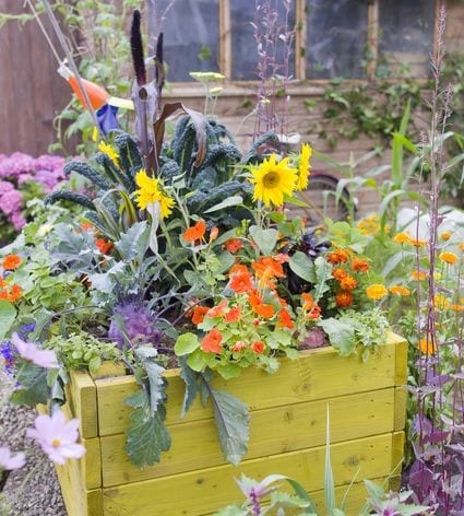 Blumen, die aus dem Holz sprießen