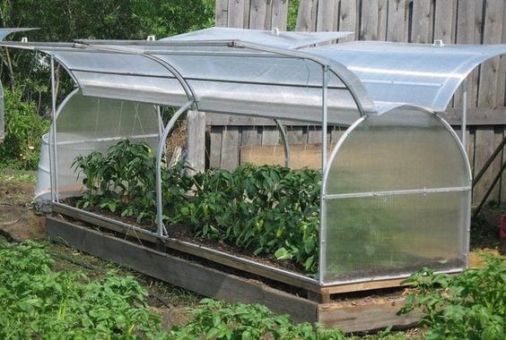 hoophouse