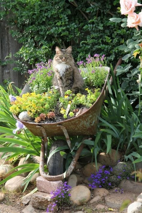 "Podoba mi się dźwięk lasagna gardening!"