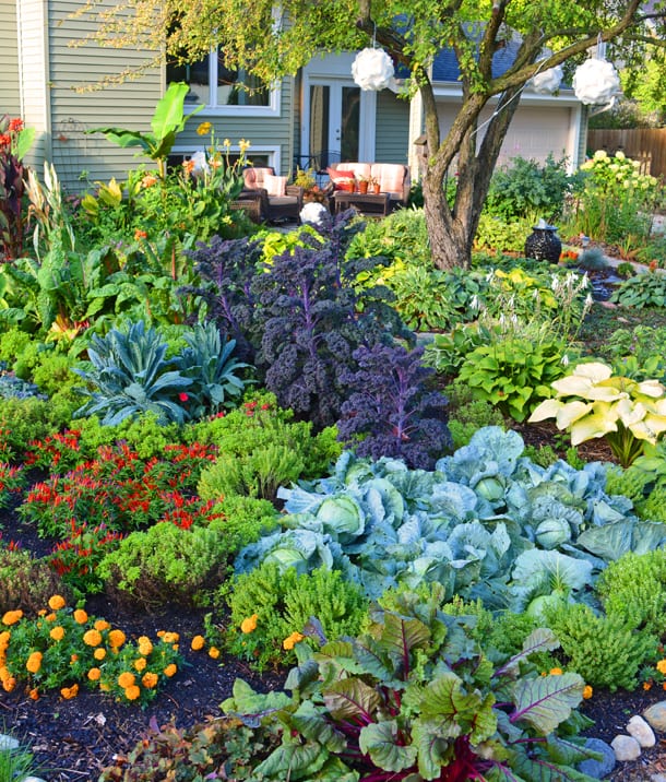 40+ Fabulous front garden ideas - low maintenance and budget design