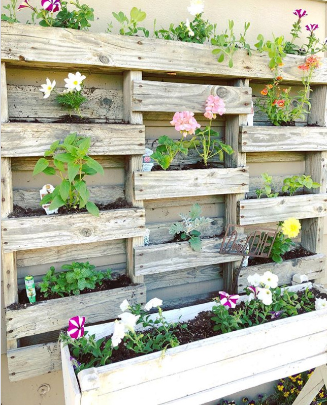 35+ Pallet garden ideas