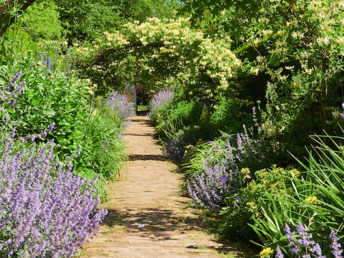 40 Garden Path Ideas