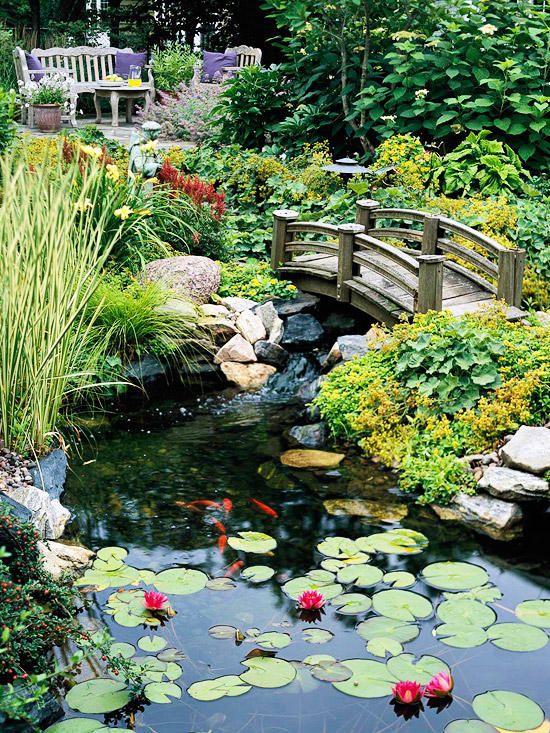 35 Backyard Ponds