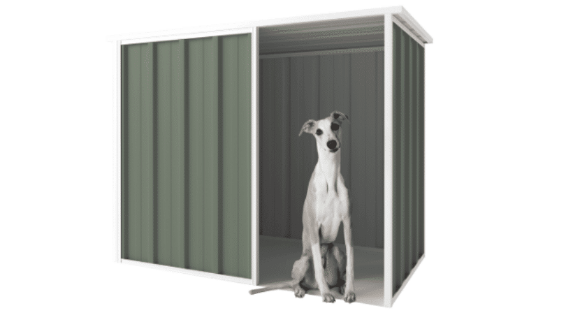 A green and white shed as a dog kennel